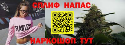 прущие грибы Канаш