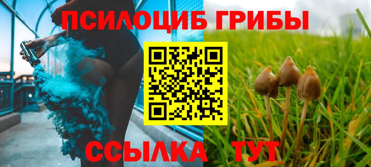 Галлюциногенные грибы Magic Shrooms  Вход с VPN  Куйбышев  Галлюциногенные грибы Psilocybine cubensis 